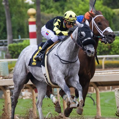 Saratoga Springs Racing is a daily tip sheet that gives predictions, news, and articles about horse racing. 

Visit our website at https://t.co/ydUXpqSMEP