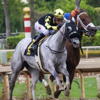Saratoga Springs Racing (@racingsprings) 's Twitter Profile