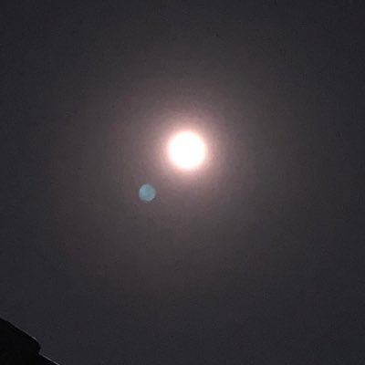 a_k_j_9_4_8's profile picture. 
