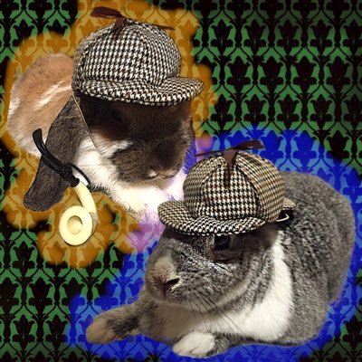 Satsukiさんのプロフィール画像