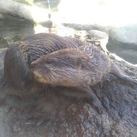Fátima (@ftima40366969) 's Twitter Profile
