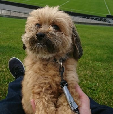 maru0601maru's profile picture. ギャンブル大好きおじさんです🙇‍♀