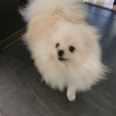 Ekim28518278's profile picture. Y E S