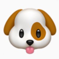 く (@krdl2o) 's Twitter Profile