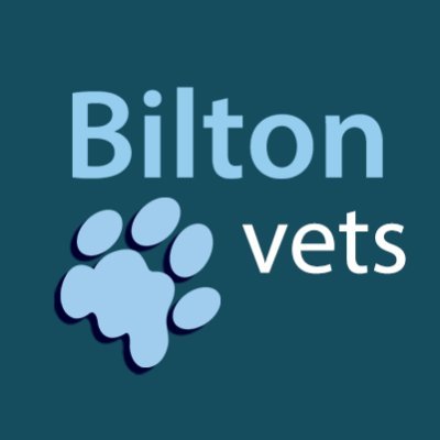 We are an independent small animal practice in Bilton, Rugby. We have 8 experienced veterinary surgeons as well as a team of caring nurses and receptionists.