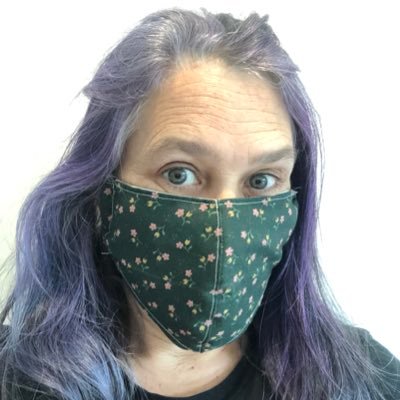 Sarah Allen @ultrasaurus@quakers.socialさんのプロフィール画像