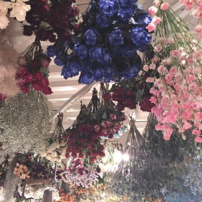 SoRh003's profile picture. 