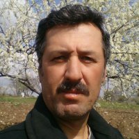 Mustafa (@mustafatplc) 's Twitter Profile