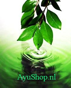 Wij zijn gespecialiseerd in huidverzorgings producten die gebaseerd zijn op Ayurvedische grond beginselen! Kijk op onze site voor meer informatie.