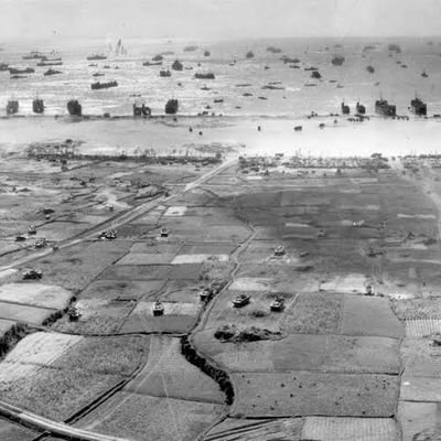 Tad62239718's profile picture. 東京