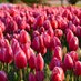 kathleen.nihill@gmail.com (@kathleennihill) Twitter profile photo