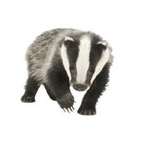 Laura Windisch (@laurakishore) 's Twitter Profile Photo Laura Windisch (@laurakishore) 's Twitter Profile Photo