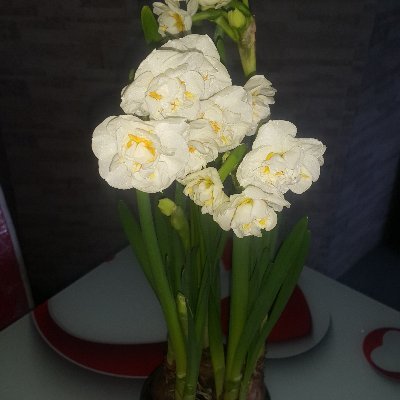 hadimother's profile picture. Lifestyle Technology & Science Arts & Culture Science Art