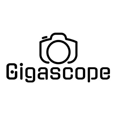 cyrilpreiss's profile picture. Développeur de Gigascope, le révélateur des micro détails du Patrimoine