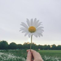 เพราะฉันเป็นฉัน (@aliveforeat) 's Twitter Profile Photo