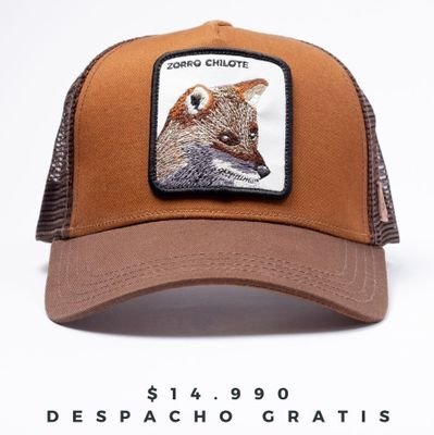 NewNSto's profile picture. pregunta