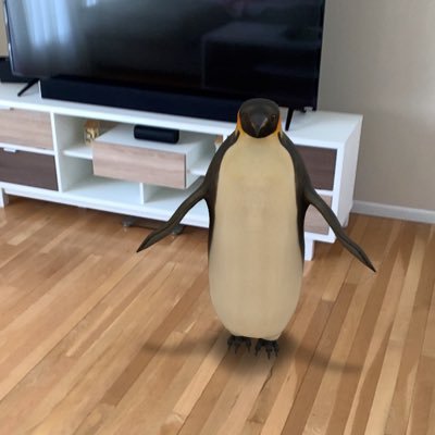 zeng_chao's profile picture. 