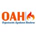 Organización Ayudamos Honduras (@organizacionoah) Twitter profile photo Organización Ayudamos Honduras (@organizacionoah) Twitter profile photo