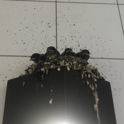 5月から名古屋に引っ越しました。ボードゲーム会参加していきたいです。