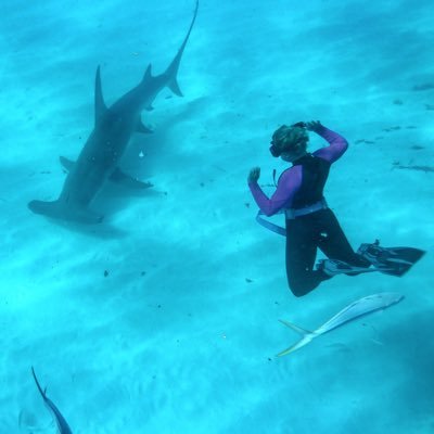 BSc Marine Vertebrate Zoology @bangoruni 👩🏼🎓 Marine Biologist | Scientific Communicator - main focuses on elasmobranchs, education and outreach🦈