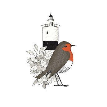 Located at the southern cape of Öland, Ottenby bird observatory has been running since 1946.