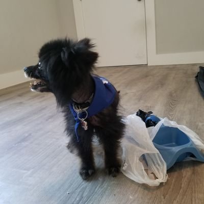 JeanR19's profile picture. Com.Social/ UCAB Guayana