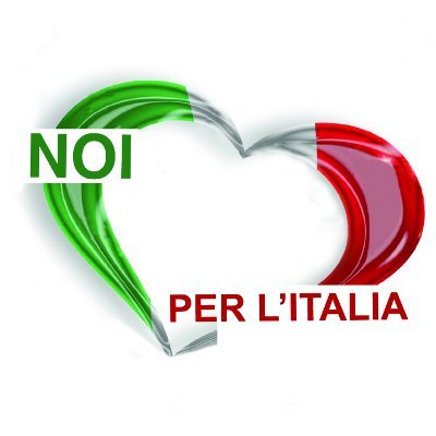 Noi per l'Italia, un movimento civico e politico a sostegno dei Giovani, delle Famiglie, Diversamente Abili ed Anziani. 
Il nostro slogan 