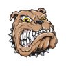 HVCentralHS's profile picture. Hopewell Valley Central High School, located in Pennington, NJ, is a 9-12 comprehensive high school. Go Bulldogs!