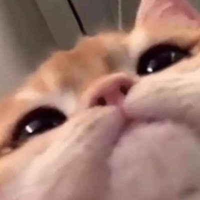 _GoldenDemon's profile picture. 