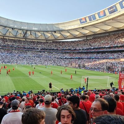 Stumo2222's profile picture. 