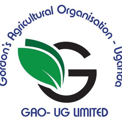 GAO-UG Limited ensures that every small scale  farmer has unrestricted access to necessary resources in order to thrive and generate additional income.