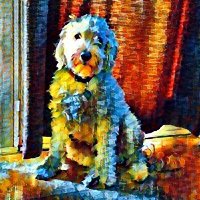 🍖Arie Bear🍖 (@ariedoodle) 's Twitter Profile Photo 🍖Arie Bear🍖 (@ariedoodle) 's Twitter Profile Photo