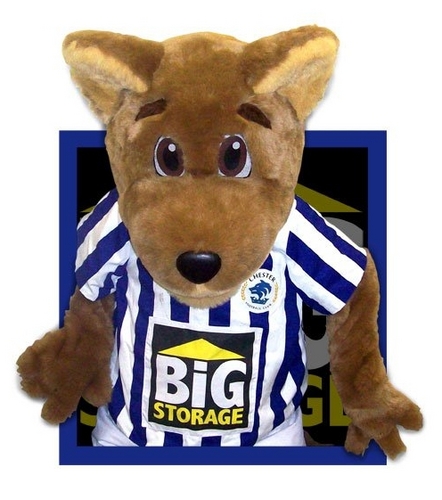 BigLupus's profile picture. Official Chester FC Mascot BiG Lupus