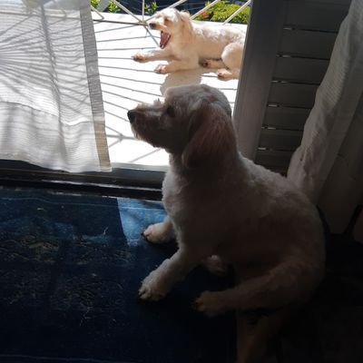 BarbosaJeize's profile picture. 