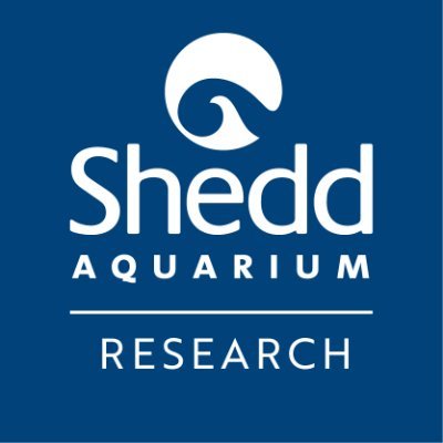 Shedd Research Profile