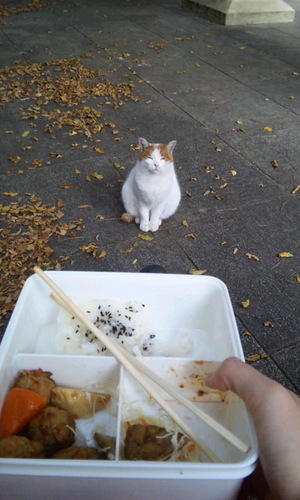 iONsettee's profile picture. おはようﾋﾞ---ﾑ!!(oﾟ∀ﾟ)ﾉ‥‥…━━━━━☆)`νﾟ)･;'.､
博士(工学)です。。