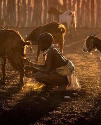 Dman39364114's profile picture. A real Man never gives up in life