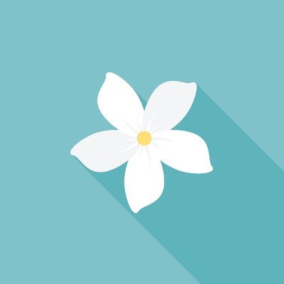 Jasmine Flower Gole Yaas Twitter Jasmine Flower Gole Yaas Twitter