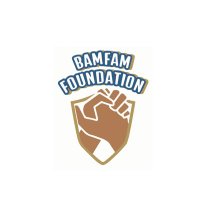 BamFam Foundation (@bamfam501c3) 's Twitter Profile