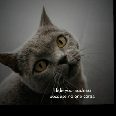 Ayandayandy21's profile picture. chocolate lover 🍫🍫😍😋