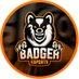 Badger eSports (@badgeresportsgg) Twitter profile photo Badger eSports (@badgeresportsgg) Twitter profile photo