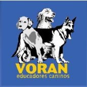 ¡El lugar perfecto para que tu perro disfrute de sus vacaciones!
Residencia Canina Madrid, Hotel Canino de lujo, Centro Canino Integral y #Adiestramiento.🐶💙