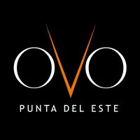 OVO Punta (@ovopunta) 's Twitter Profile