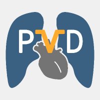 PVD Network(@PVD_Network) 's Twitter Profile Photo