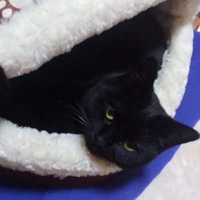 May_May_no_May's profile picture. 幼女戦記/本好きの下剋上/東リベが好き
微腐主人公右固定+夢女子
BLという言葉すらなかった時代から爆走兄弟で腐った妄想にふけっていた
二度目の成人式を迎えちゃうお年頃になりまひた……((( ;゚Д゚)))
【天安門事件】