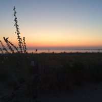 Lalilafée (@lalalilafee) 's Twitter Profile
