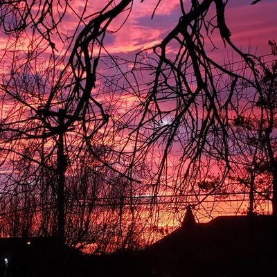 Noesbueno3's profile picture. 