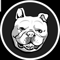 raab7(@raab7x) 's Twitter Profile Photo raab7(@raab7x) 's Twitter Profile Photo