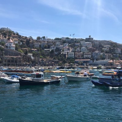 HongLazh's profile picture. 