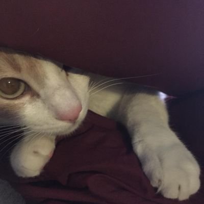 silviaherranz67's profile picture. 